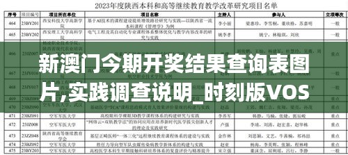 新澳门今期开奖结果查询表图片,实践调查说明_时刻版VOS16.50