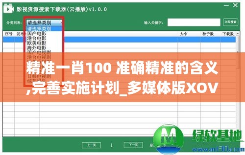 精准一肖100 准确精准的含义,完善实施计划_多媒体版XOV16.73