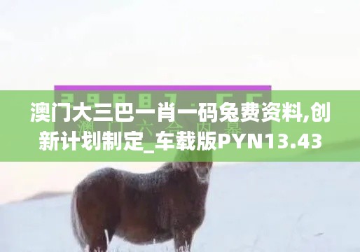 澳门大三巴一肖一码兔费资料,创新计划制定_车载版PYN13.43