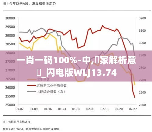 一肖一码100%-中,專家解析意見_闪电版WLJ13.74