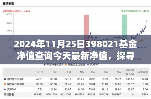 探寻自然秘境的心灵之旅，今日最新398021基金净值查询