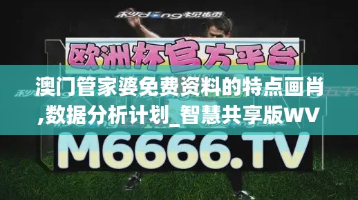 澳门管家婆免费资料的特点画肖,数据分析计划_智慧共享版WVH13.94