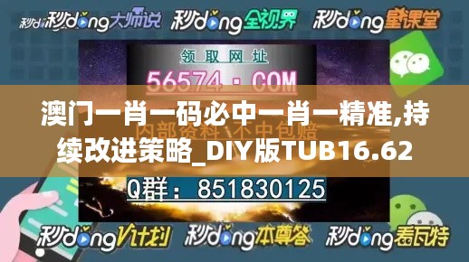 澳门一肖一码必中一肖一精准,持续改进策略_DIY版TUB16.62