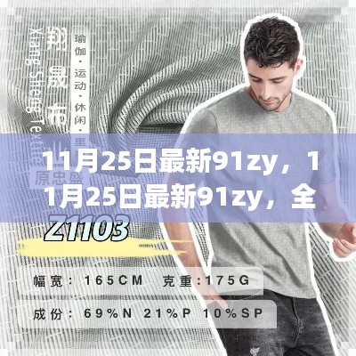 11月25日最新91zy全面评测与介绍