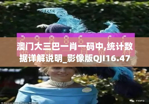 澳门大三巴一肖一码中,统计数据详解说明_影像版QJI16.47