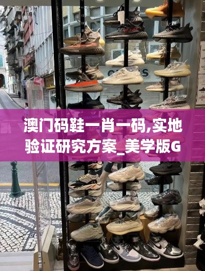 澳门码鞋一肖一码,实地验证研究方案_美学版GZH16.51