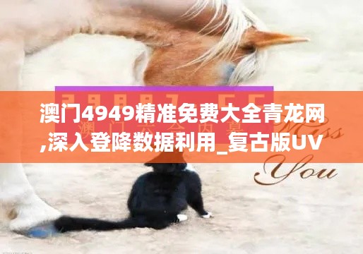 澳门4949精准免费大全青龙网,深入登降数据利用_复古版UVD16.82