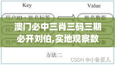 澳门必中三肖三码三期必开刘伯,实地观察数据设计_编辑版RDI13.85
