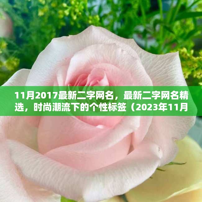 11月2017最新二字网名，最新二字网名精选，时尚潮流下的个性标签（2023年11月版）