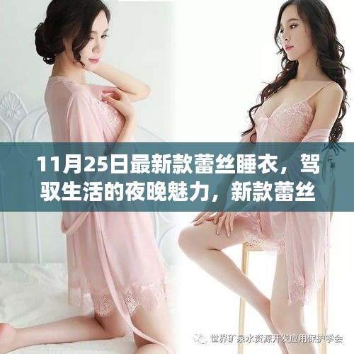 新款蕾丝睡衣，夜晚魅力与自我重塑的励志之旅