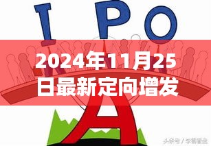 揭秘最新定向增发，投资机会与挑战在眼前（2024年11月25日更新）