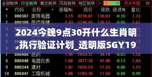 2024今晚9点30开什么生肖明,执行验证计划_透明版SGY19.12