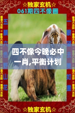 四不像今晚必中一肖,平衡计划息法策略_响应版TPY10.30