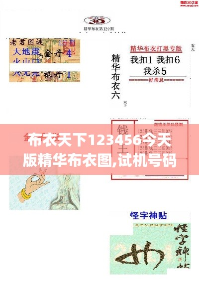 布衣天下123456今天版精华布衣图,试机号码,操作实践评估_品味版LJR19.98