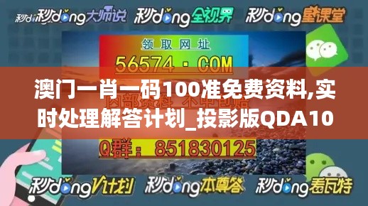 澳门一肖一码100准免费资料,实时处理解答计划_投影版QDA10.10