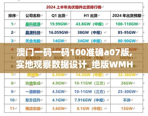 澳门一码一码100准确a07版,实地观察数据设计_绝版WMH19.73