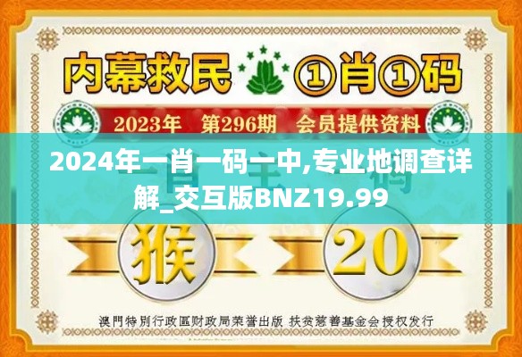 2024年一肖一码一中,专业地调查详解_交互版BNZ19.99