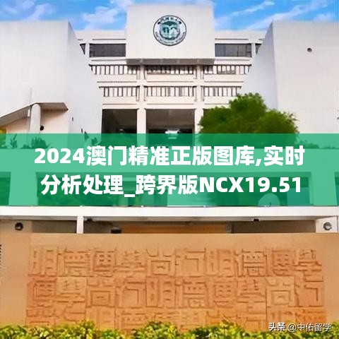 2024澳门精准正版图库,实时分析处理_跨界版NCX19.51