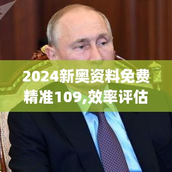 2024新奥资料免费精准109,效率评估方案_专属版QGM19.69