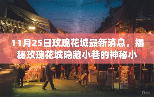 揭秘玫瑰花城隐藏小巷的神秘小店，11月25日探寻独特魅力的奇妙之旅