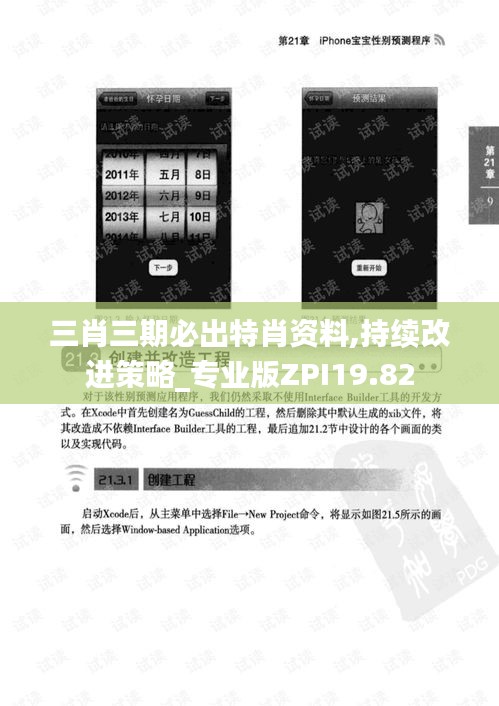 三肖三期必出特肖资料,持续改进策略_专业版ZPI19.82