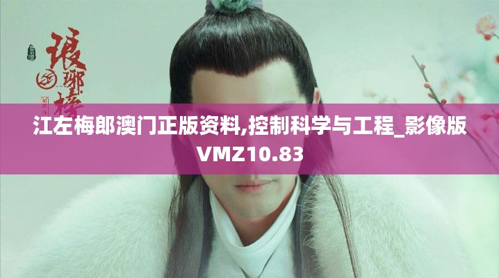 江左梅郎澳门正版资料,控制科学与工程_影像版VMZ10.83