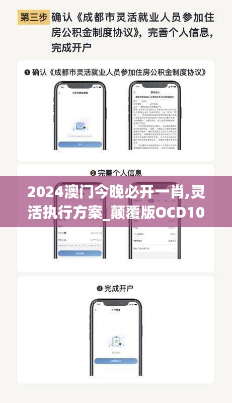 2024澳门今晚必开一肖,灵活执行方案_颠覆版OCD10.15