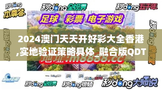 2024澳门天天开好彩大全香港,实地验证策略具体_融合版QDT10.91