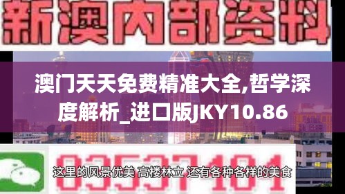 澳门天天免费精准大全,哲学深度解析_进口版JKY10.86