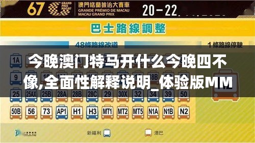 今晚澳门特马开什么今晚四不像,全面性解释说明_体验版MMK19.58