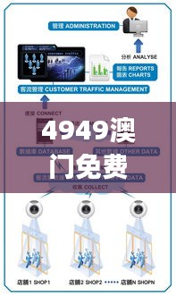 4949澳门免费精准大全,全身心数据计划_方案版NLB19.94