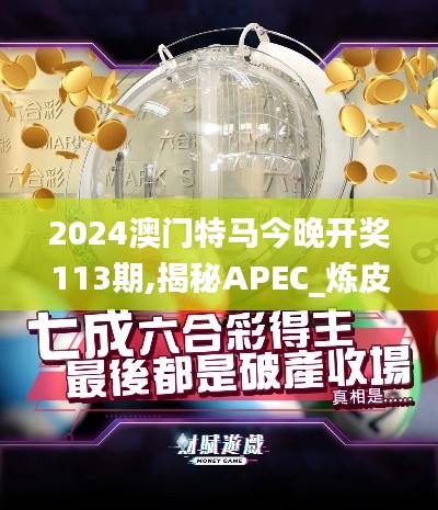 2024澳门特马今晚开奖113期,揭秘APEC_炼皮境TMF19.90