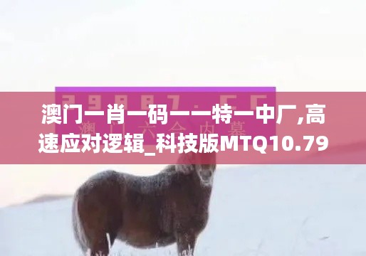 澳门一肖一码一一特一中厂,高速应对逻辑_科技版MTQ10.79