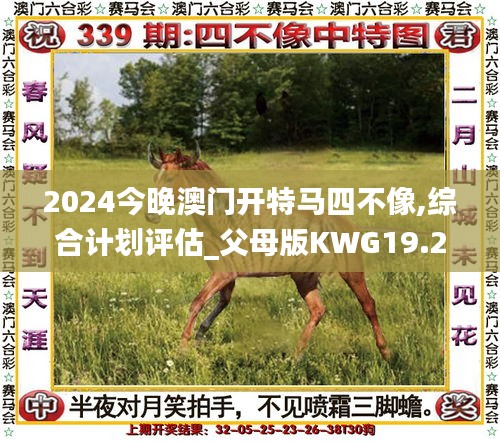 2024今晚澳门开特马四不像,综合计划评估_父母版KWG19.26