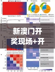 新澳门开奖现场+开奖结果直播,深度研究解析_启天境JMP19.45