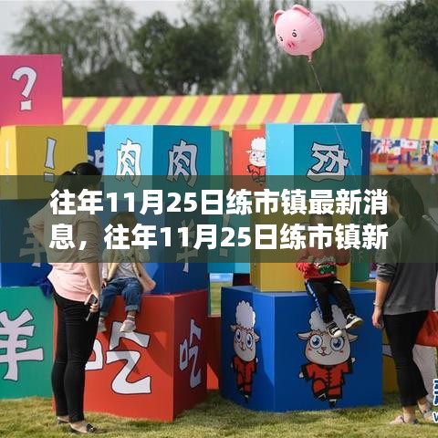 往年11月25日练市镇最新消息，往年11月25日练市镇新动态解析，一种观点的阐述