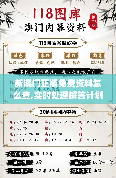 新澳门正版免费资料怎么查,实时处理解答计划_灵动版NHU19.25