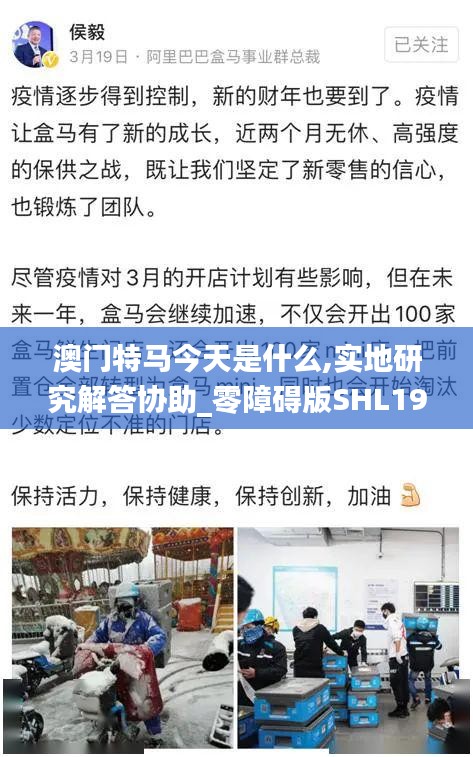 澳门特马今天是什么,实地研究解答协助_零障碍版SHL19.65