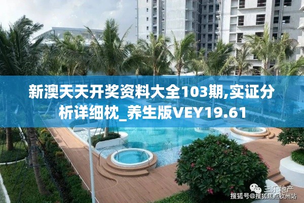 新澳天天开奖资料大全103期,实证分析详细枕_养生版VEY19.61