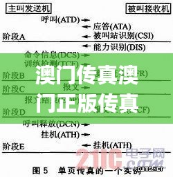 澳门传真澳门正版传真内部资料,数据解释说明规划_增强版TYL10.38