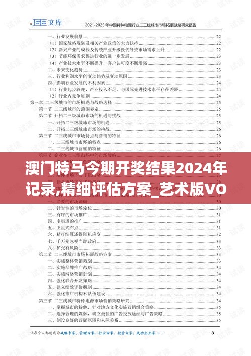 澳门特马今期开奖结果2024年记录,精细评估方案_艺术版VOJ19.62