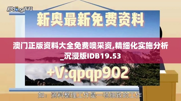 澳门正版资料大全免费噢采资,精细化实施分析_沉浸版IDB19.53