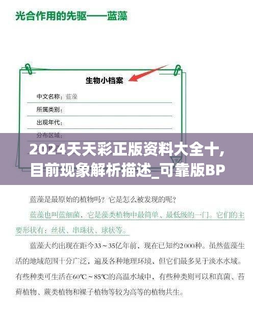 admin 第12页