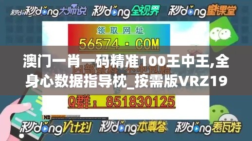 澳门一肖一码精准100王中王,全身心数据指导枕_按需版VRZ19.69