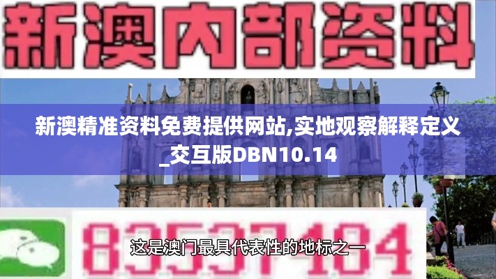 新澳精准资料免费提供网站,实地观察解释定义_交互版DBN10.14