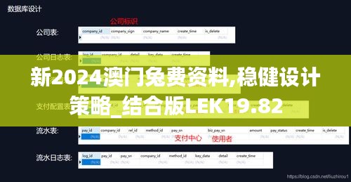 新2024澳门兔费资料,稳健设计策略_结合版LEK19.82