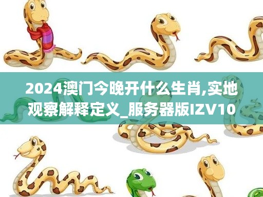 2024澳门今晚开什么生肖,实地观察解释定义_服务器版IZV10.63