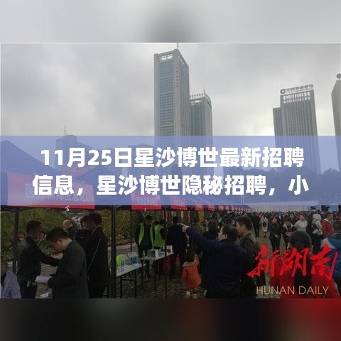 星沙博世最新招聘信息揭秘，职场新人的探索之旅