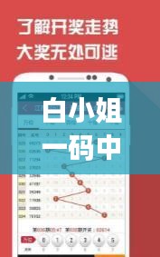 白小姐一码中期期开奖结果,快速实施解答研究_专属版RTZ10.40