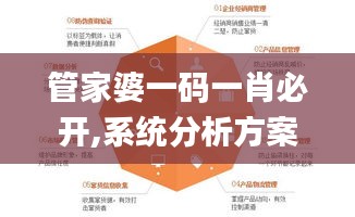管家婆一码一肖必开,系统分析方案设计_媒体宣传版GMP10.58